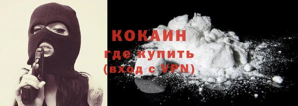бошки Алексин