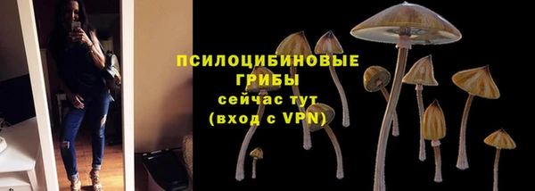 a pvp Алексеевка