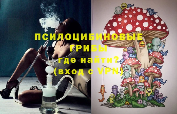 бошки Алексин