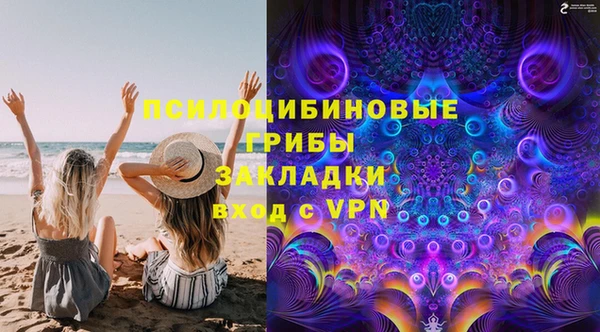 бошки Алексин