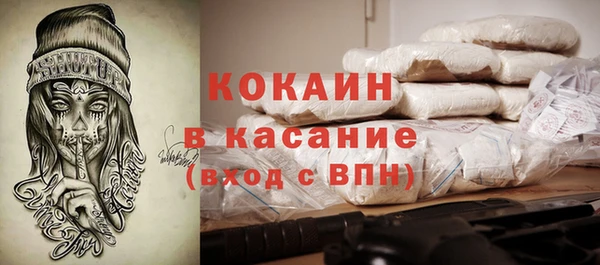 бошки Алексин