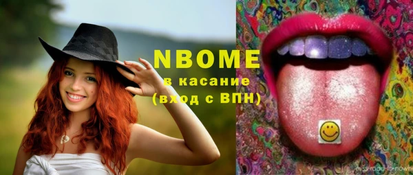 бошки Алексин