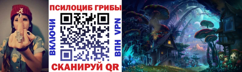 закладка  Буй  Галлюциногенные грибы мухоморы 