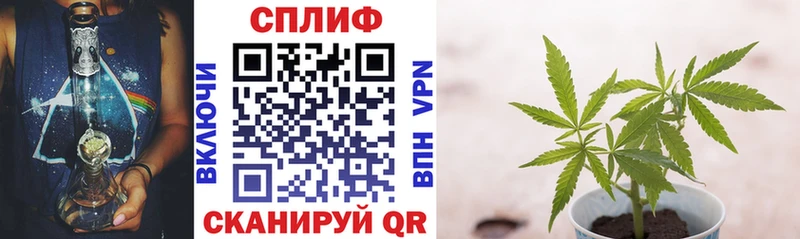Конопля Amnesia  даркнет как зайти  Буй 